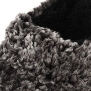 Alternative view of Pantufla Pomposa