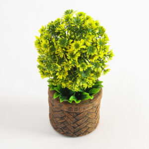 Alternative view of Plantita En Maceta