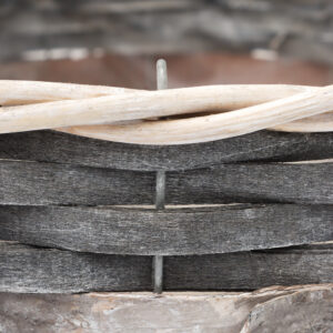 Alternative view of Panera Redonda Grande