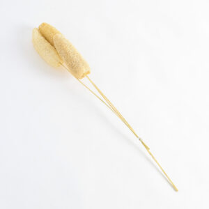 Alternative view of Ramo Decorativo