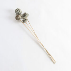 Alternative view of Ramo Decorativo Nº 2