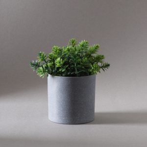 Planta Decorativa GR