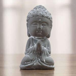 Buda Monk - Diseño 2