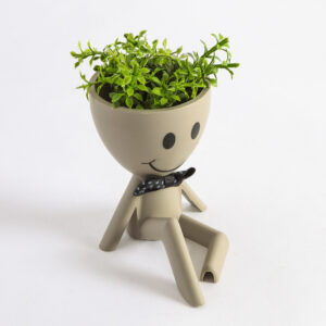 Alternative view of Planta Decorativa Smile