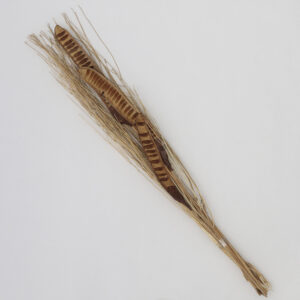 Alternative view of Ramo Decorativo