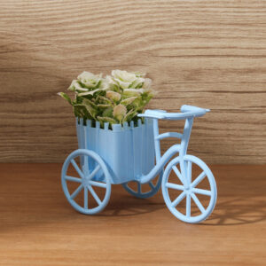 Planta Decorativa Bicicleta