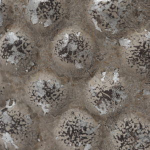 Alternative view of Maceta CMT Mediana