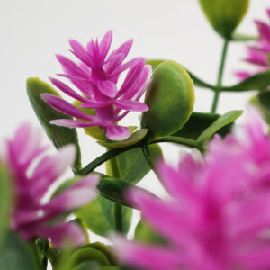 Alternative view of Planta Decorativa Floral