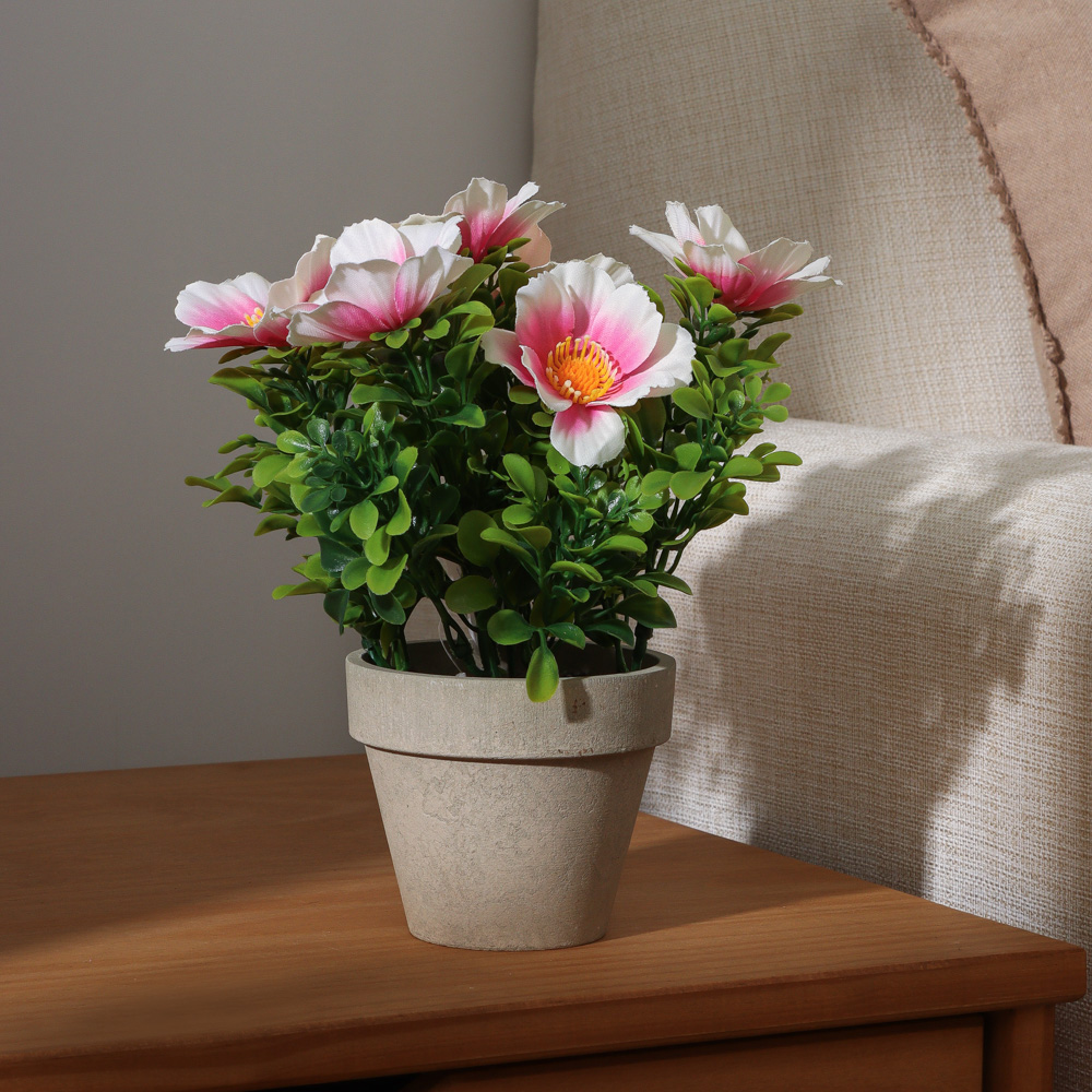 24510890003800-2 (1)