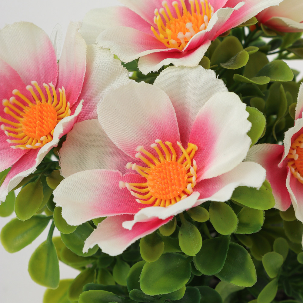 24510890003800-2 (3)