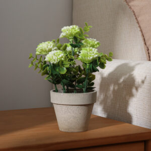 Plantita Decorativa