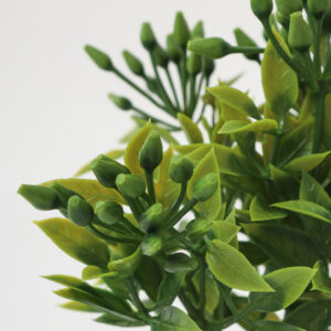 Alternative view of Planta Decorativa Maceta 3x3