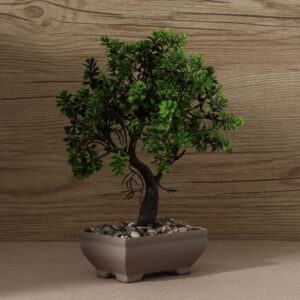 Planta Decorativa Bonzai Colores