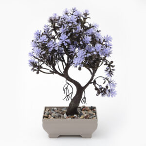 Alternative view of Planta Decorativa Bonzai Colores