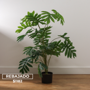 Planta Decorativa 110